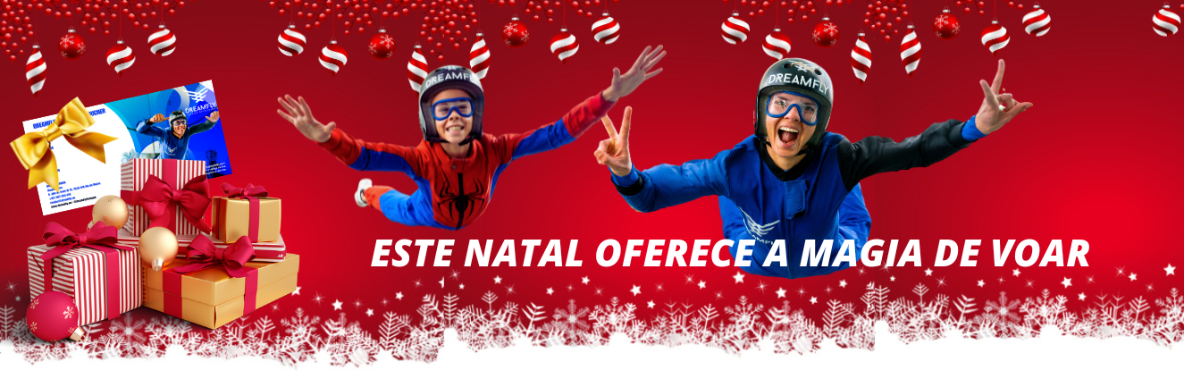 dreamfly christmas banner